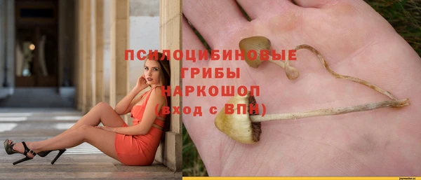 метамфетамин Богданович